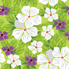 Floral seamless pattern with white flowers, hand-drawing. Vector