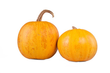 wo ripe pumpkins isolated on white background