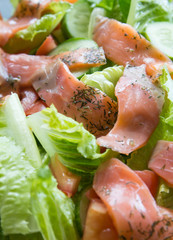 Freshness Slice Smoked Salmon Salad