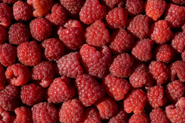 fresh raspberry