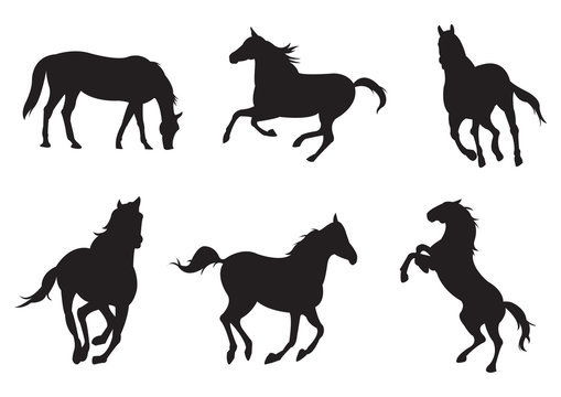 Sets of silhouette horses, create by vector