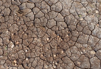 Cracked ground texture