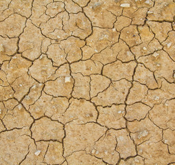 Dry soil texture on the ground