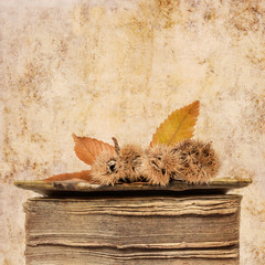 Grunge background with old book and leaves