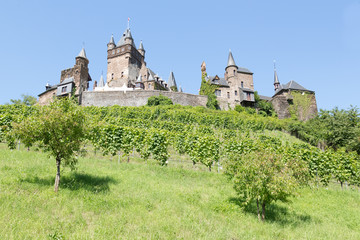 Fototapeta na wymiar Cochem zamek w Niemczech, w otoczeniu winnic