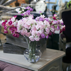 Flowers composition in retro interior. sweet pea