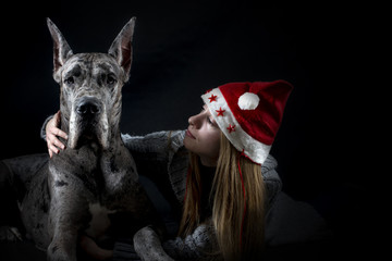 dog the Great Dane with the girl in a cap of Santa Claus - obrazy, fototapety, plakaty