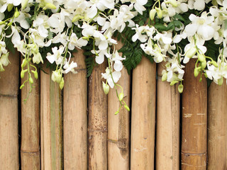 orchid flowers on bamboo background