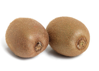 kiwi on white background