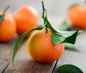 Mandarinen