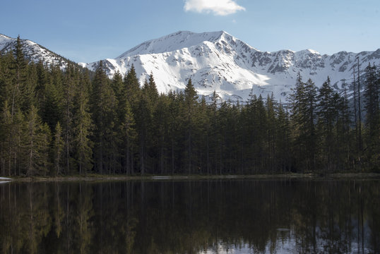 staw w g&oacute;rach