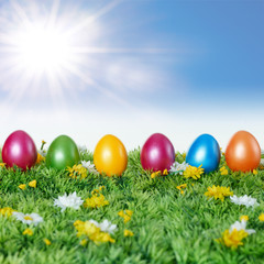 Colored eggs on a wildflower meadow