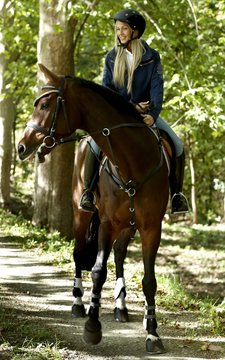 Young woman horse riding in the forest
