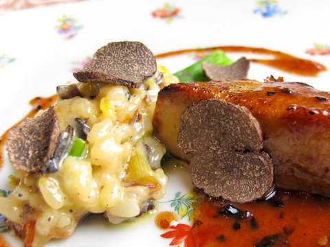 Truffle & Foie gras / French cuisine