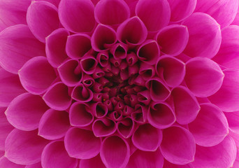 Fototapeta na wymiar Abstract flower