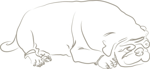 Schlafender Mops - Hunderasse, Silhouette, Vektor, isoliert