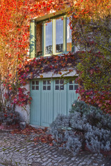 Autumn windows