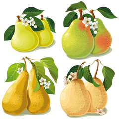 set of ripe pears