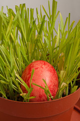 Easter egg in a brown flowerpot