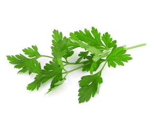 Parsley isolated on white