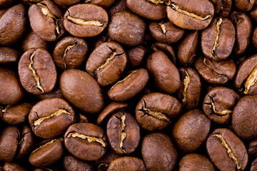 coffee beans background