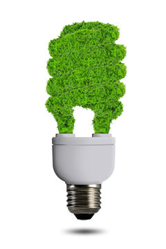 eco energy bulb isolated on white