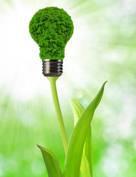 eco energy bulb