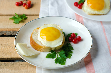 Toast with fried egg