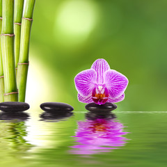 Fototapeta na wymiar skład kamieni i orchidei fioletowy