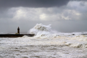 Windy Coast