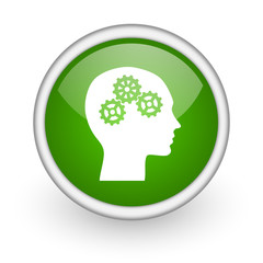 head green circle glossy web icon on white background