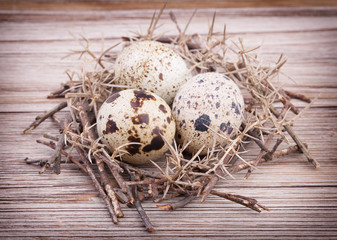 Naklejka na ściany i meble Przepiórka jaj w gniazdo na drewnianym tle