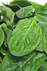 spinach