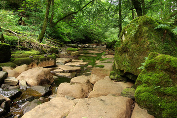 River in the Yorkshire Dales