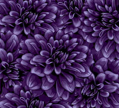 Dahlia pattern