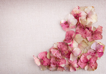 Hydrangea flower petals in bottom right corner on fabric backgro