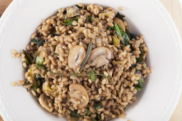 Vegan Barley Meal