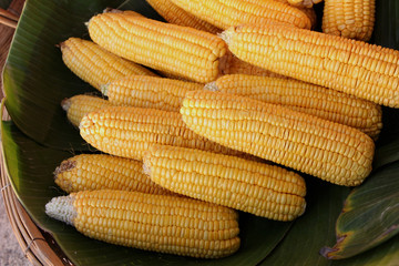 Corn