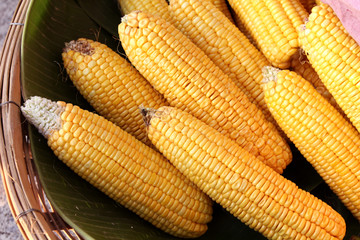 Corn_2