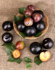 Rip plums on basket on sacking