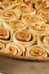 Homemade Mini Cinnamon Rolls
