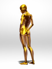golden, transparent female body with skeleton