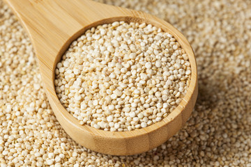 Raw Organic Quinoa Seeds