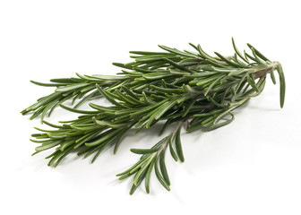 rosemary
