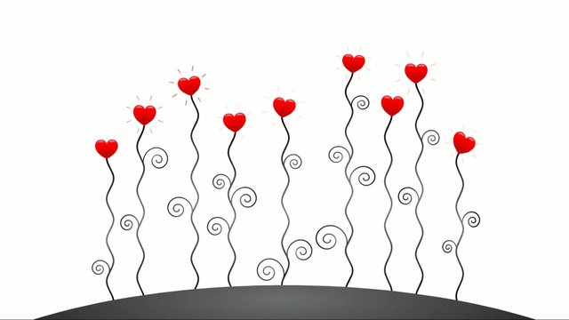 Wachsende Herzblumen in rot und schwarz-wei&szlig; &ndash; Animationsfilm
