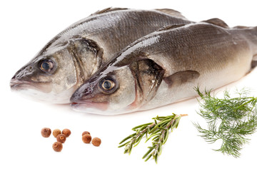 Fresh sea bass
