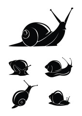 snail set collection