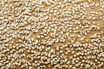 Spelt Bread and pastry