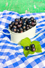 Черная смородина на клетчатой салфетке
