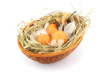 eggs in basket